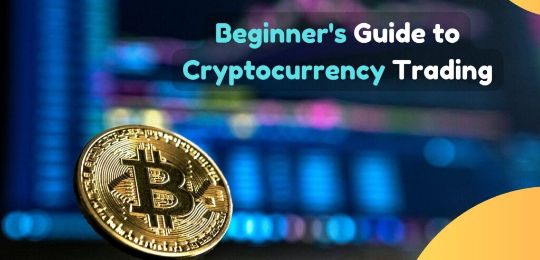 10 Essential Tips for Crypto Beginners in 2024: A Guide to Successful Investing